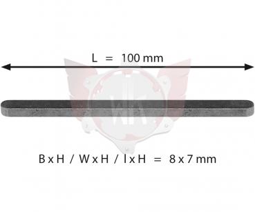 ACHSKEIL 8x7x100mm