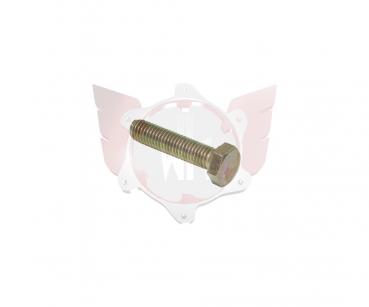SK-Schraube M8x35mm RTPS