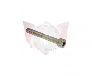 Inbusschraube M6x45mm