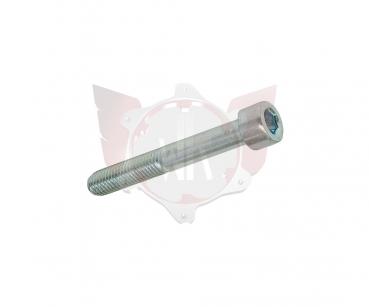 ZYLINDERKOPFSCHRAUBE 8.8 M8x55mm