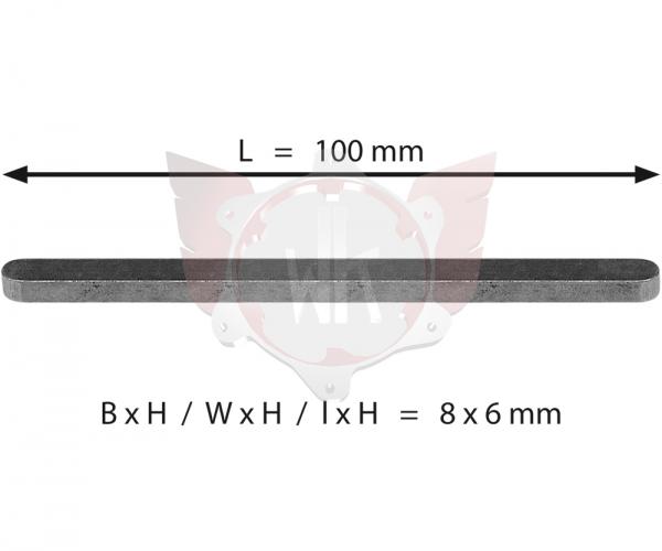 ACHSKEIL 8x6x100mm