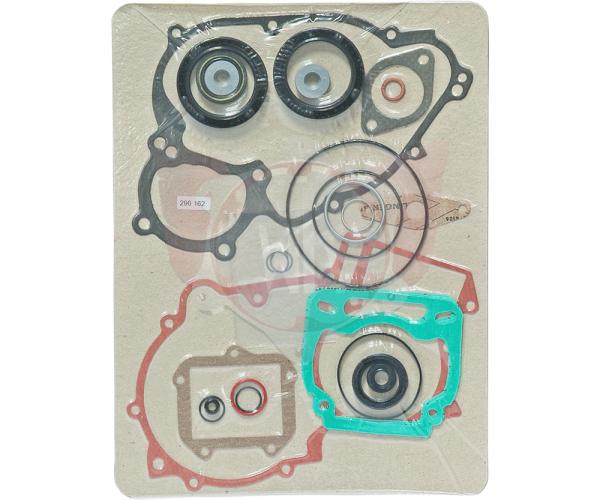 Dichtungssatz Motor DD2