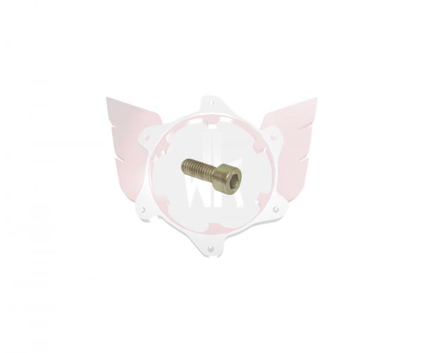 Schraube M4x12mm (Auspuff)