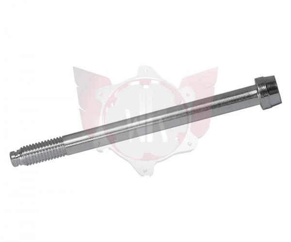 INBUSSCHRAUBE ACHSSCHENKEL 10x112 M10