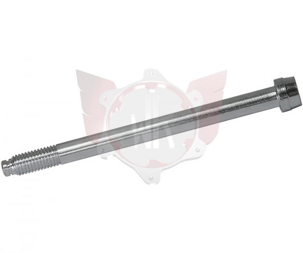 INBUSSCHRAUBE ACHSSCHENKEL 10x120 M10