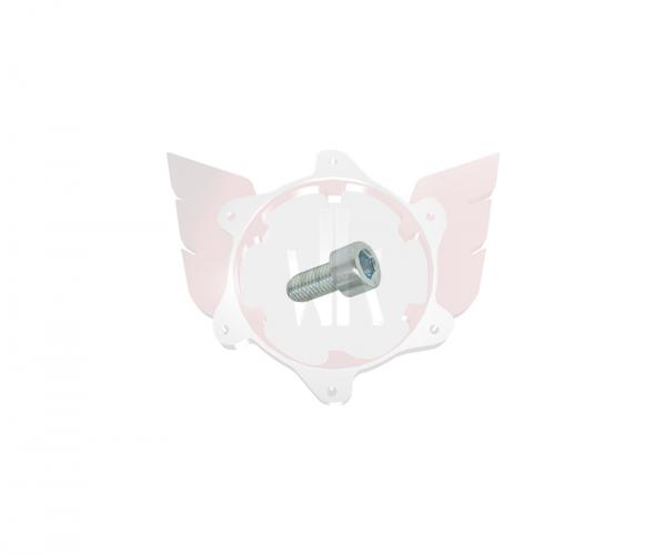 ZYLINDERKOPFSCHRAUBE 8.8 M5x10mm