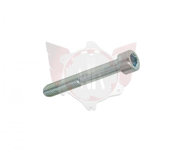 ZYLINDERKOPFSCHRAUBE 8.8 M8x55mm
