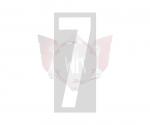 STARTNUMMER WEISS GERADE NR. 7