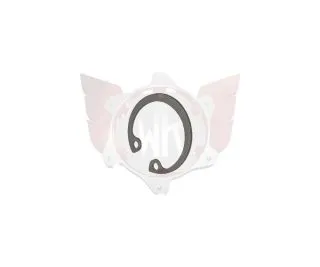 Seegerring 22mm