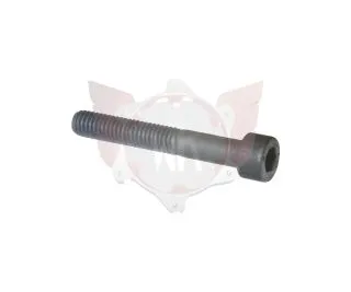 Schraube M6x50