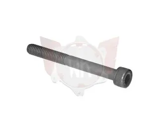 Schraube M6x55