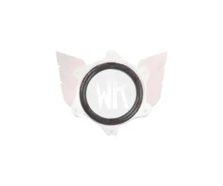 O-RING FÜR KOLBEN 30x2,5mm