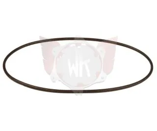 SPANNGUMMI FÜR REGENHAUBE RR