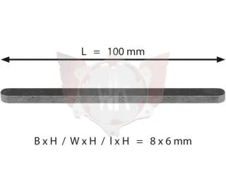 ACHSKEIL 8x6x100mm
