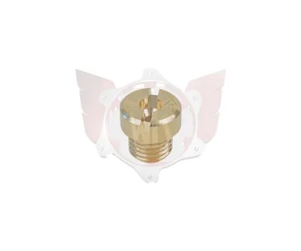 HAUPTDÜSE 6mm GRÖSSE 170