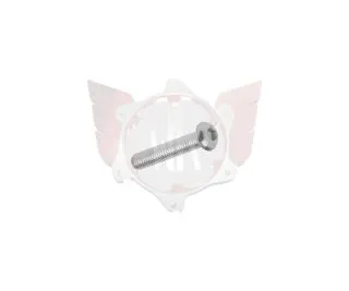 LINSENKOPFSCHRAUBE M5x25mm
