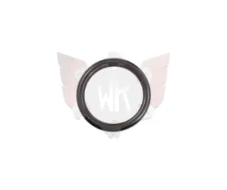 O-RING FÜR KOLBEN 22x2mm