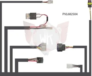 Kabelbaum mit Delphi Stecker PVL