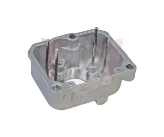 Vergaser Schwimmerkammer