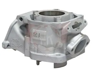 Zylinder 2024 DD2 54,000 - 54,010mm