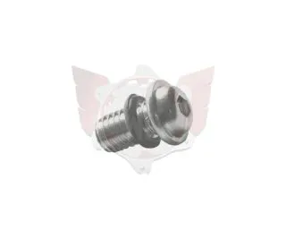 SICHERUNGSSCHRAUBE DOUGLAS M5 MIT O-RING